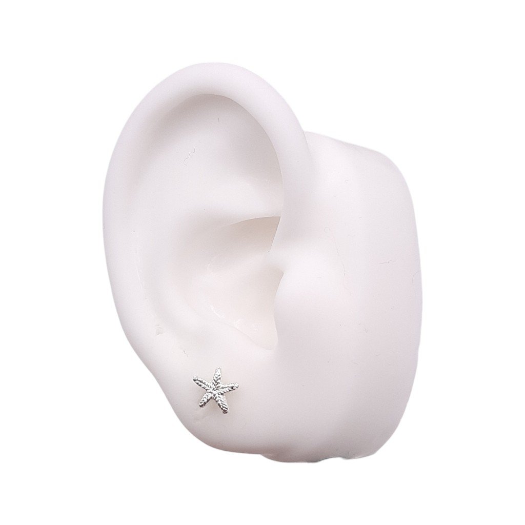 Brinco Mini Estrela Do Mar