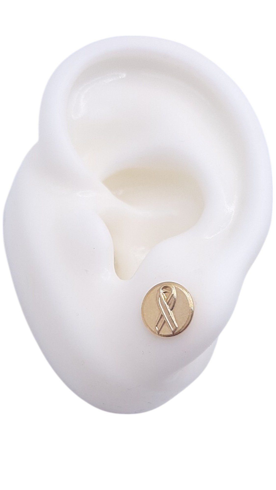 Brinco Plaquinha Com Laço Conscientização