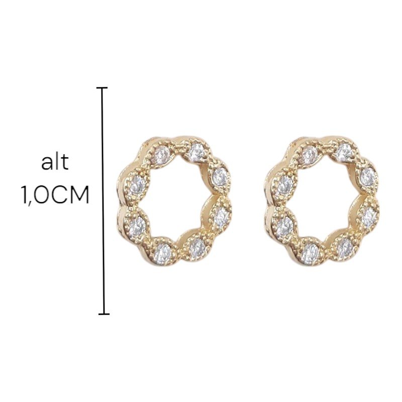 Brinco Círculo Cravejado