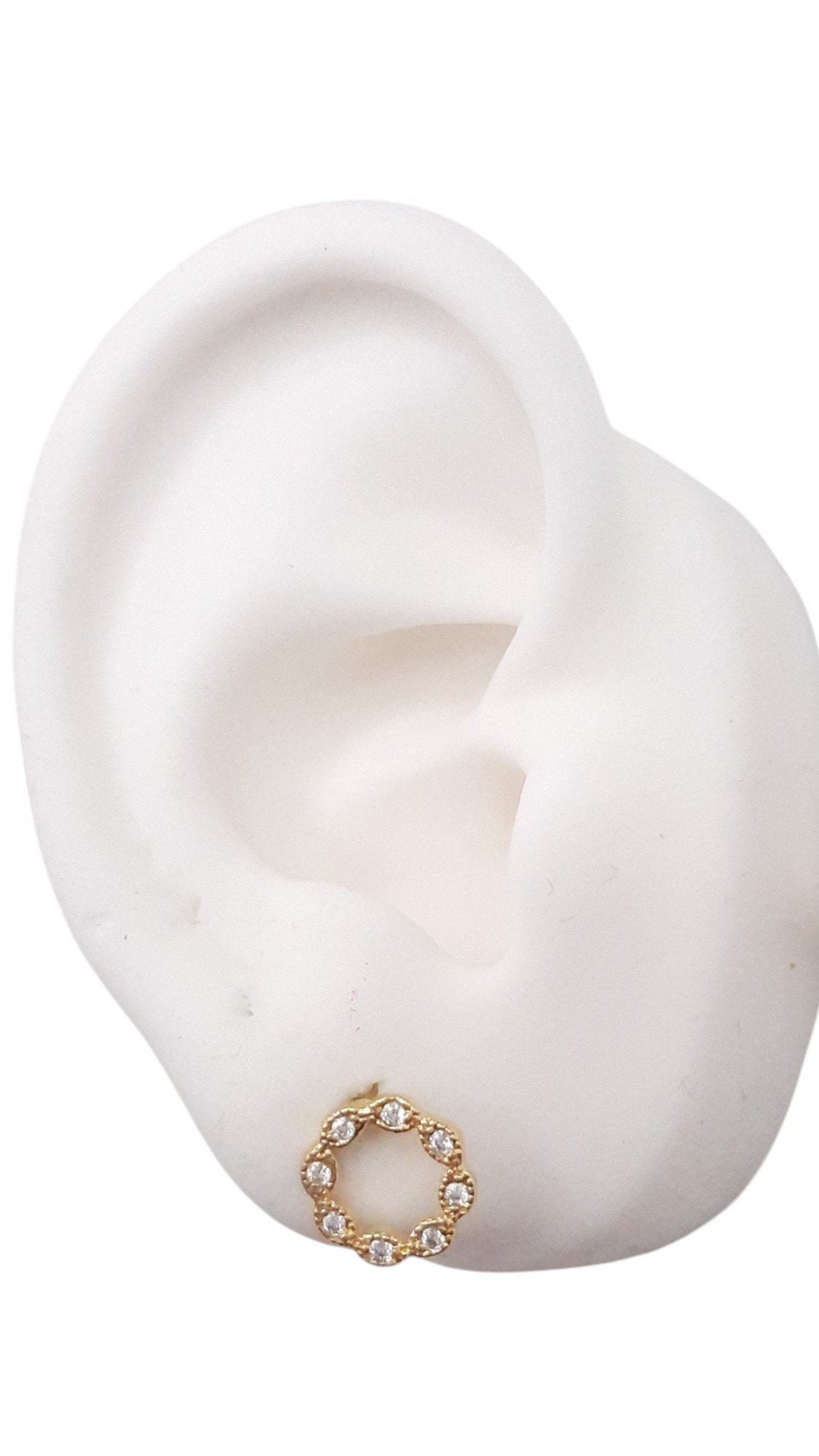 Brinco Círculo Cravejado